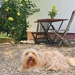 Gaestehaus Im Garten Casa de Férias