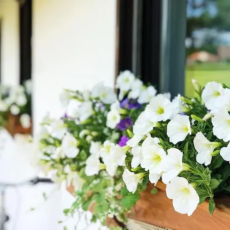 Gaestehaus Im Garten Ferienhaus Zeitlofs
