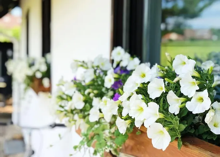 Gaestehaus Im Garten בית נופש Zeitlofs