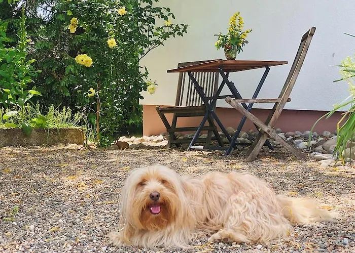 Gaestehaus Im Garten בית נופש